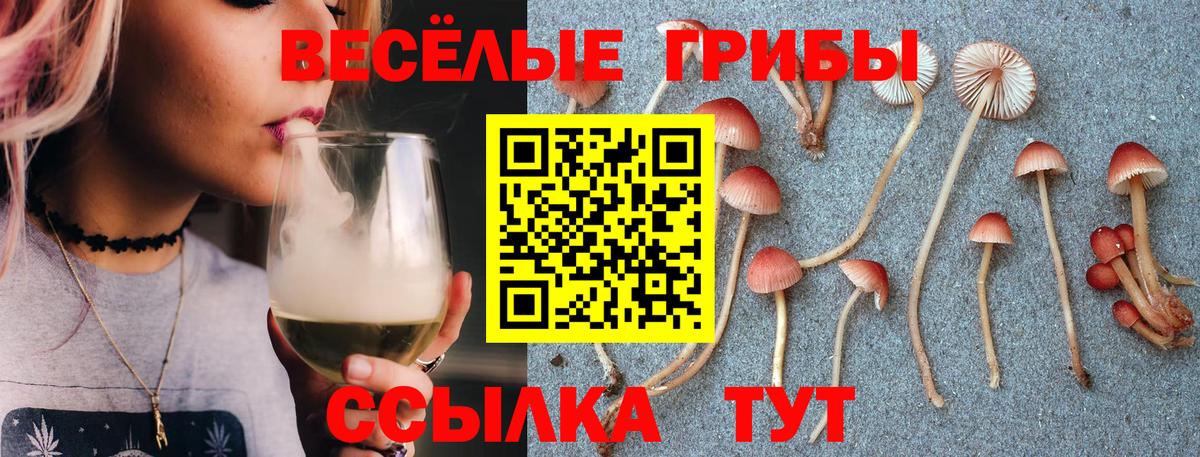 Псилоцибиновые грибы мухоморы  продажа наркотиков  Псилоцибиновые грибы прущие грибы  Нягань  Вход с VPN 